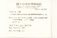 過山龍藏品圖，第2張