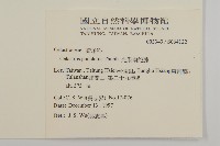 光果南蛇藤藏品圖，第2張