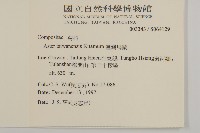 臺灣馬蘭藏品圖，第2張