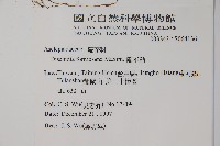 風不動藏品圖，第2張