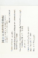 俄氏虎皮楠藏品圖，第2張