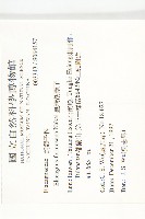 臺灣胡頹子藏品圖，第2張