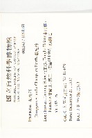 軟毛柿藏品圖，第2張