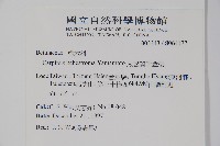 太魯閣千金榆藏品圖，第2張