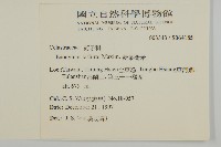 菱葉衛矛藏品圖，第2張