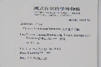 太魯閣千金榆藏品圖，第2張