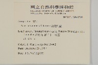 臺灣馬蘭藏品圖，第2張