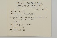 厚葉衛矛, 源一木藏品圖，第2張