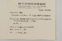 裂葉艾納香藏品圖，第2張