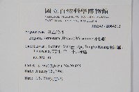 水鴨腳藏品圖，第2張