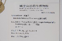 臺灣牛嬭菜藏品圖，第2張