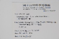 牛膝藏品圖，第2張