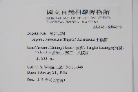 水鴨腳藏品圖，第2張