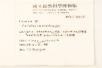 鼠麴舅藏品圖，第2張