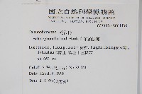 筆頭蛇菰藏品圖，第2張