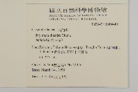 荷蓮豆草、菁芳草藏品圖，第2張