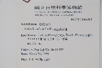 硬齒獼猴桃藏品圖，第2張