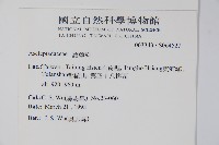 登錄號:S064527藏品圖，第2張