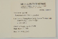 菱葉衛矛藏品圖，第2張