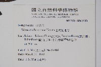 臺灣附地草藏品圖，第2張