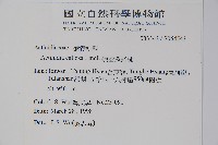 硬齒獼猴桃藏品圖，第2張