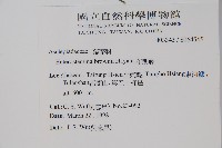 布朗藤藏品圖，第2張