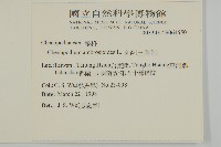 臭杏、土荊芥藏品圖，第2張