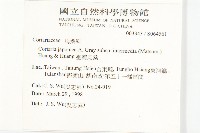 臺灣馬桑藏品圖，第2張