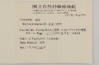 薄葉艾納香藏品圖，第2張