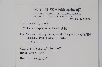 山橙藏品圖，第2張