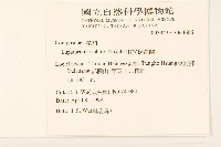 田代氏澤蘭藏品圖，第2張