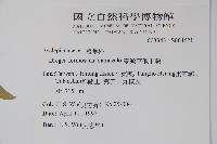 臺灣華他卡藤藏品圖，第2張