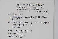 曲莖馬藍藏品圖，第2張