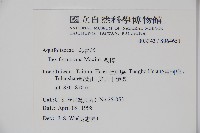 糊樗藏品圖，第2張