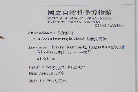 異葉馬兜鈴藏品圖，第2張