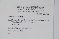 登錄號:S064656藏品圖，第2張