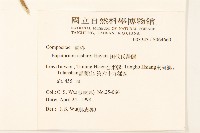 田代氏澤蘭藏品圖，第2張