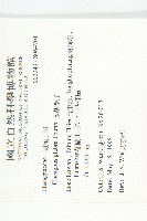 藤胡頹子藏品圖，第2張