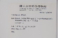 登錄號:S064704藏品圖，第2張