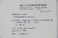 臺灣糊樗藏品圖，第2張