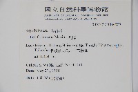 糊樗藏品圖，第2張