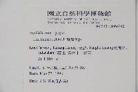 臺灣糊樗藏品圖，第2張