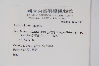 登錄號:S064747藏品圖，第2張