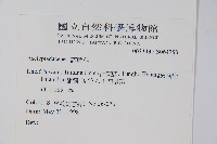 登錄號:S064753藏品圖，第2張