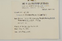 卵葉刺果衛矛藏品圖，第2張