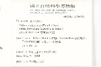 臺灣青莢葉藏品圖，第2張