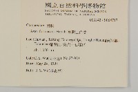 臺灣山白蘭藏品圖，第2張