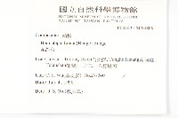 泥胡菜藏品圖，第2張