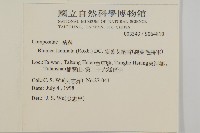 裂葉艾納香藏品圖，第2張