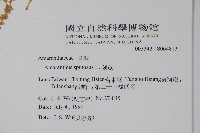 刺莧藏品圖，第2張